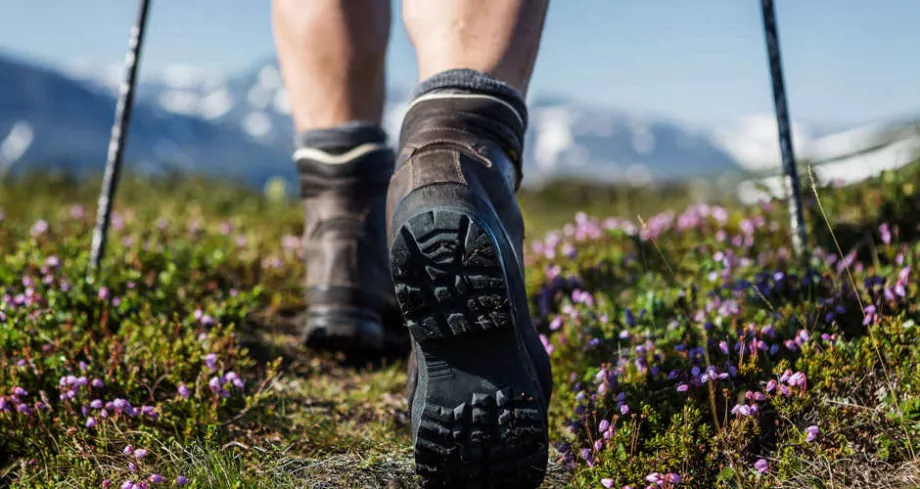 Best Vegan Hiking Boots for Men